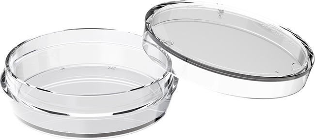 35mm petri dish