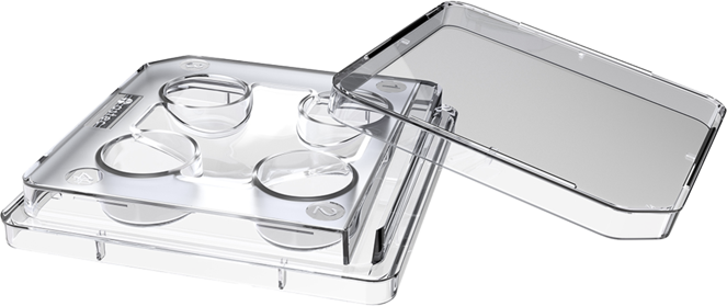 4-Well_Dish.png