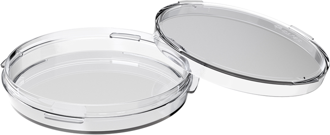ICSI_Dish