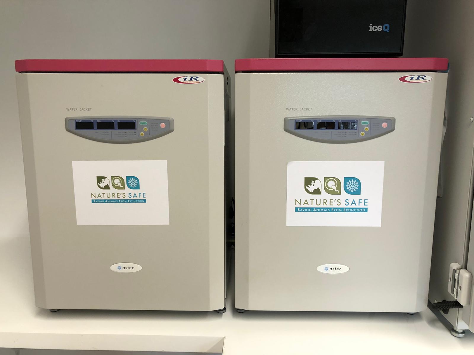Astec Penguin AQ Incubator