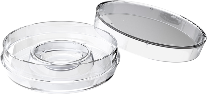 Petri_Dish_Center_Well_Dish
