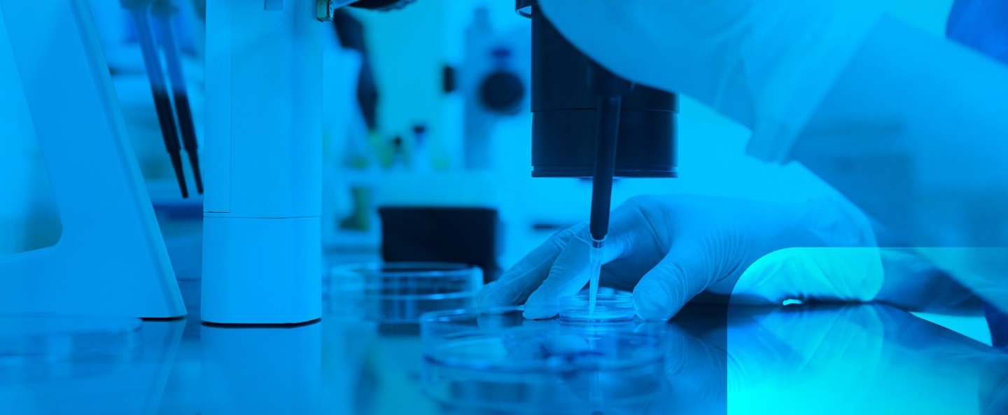 hands with gloves working with a petri dish in a lab