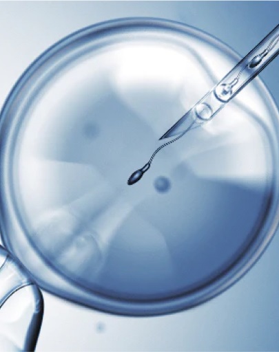 eyedropper over a petri dish